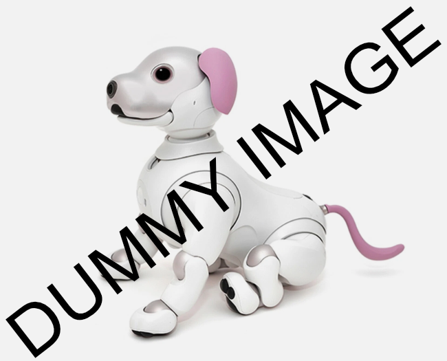 placeholder image wide