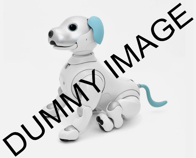 placeholder image wide